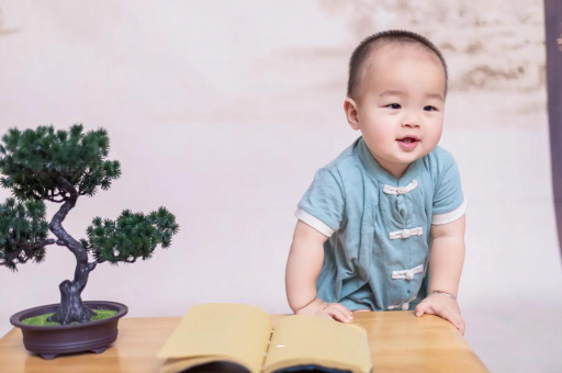 肥城可爱的企鹅宝宝